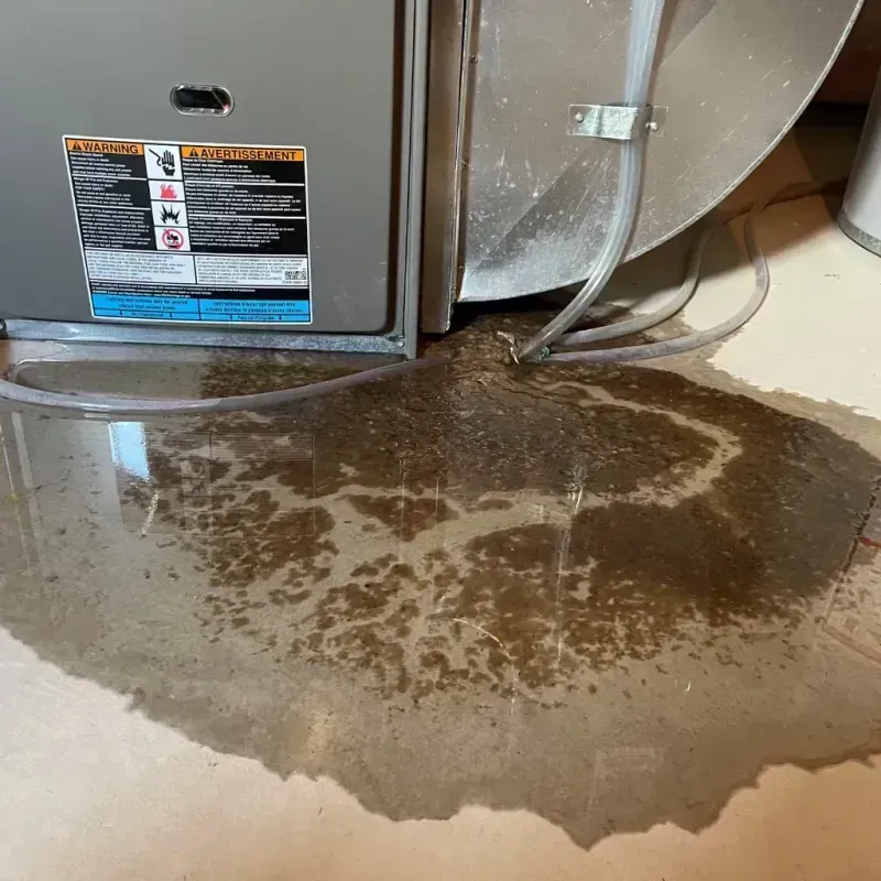 Appliance Leak Cleanup in Hardwick, GA